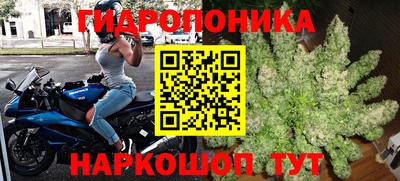 PSILOCYBIN Свободный