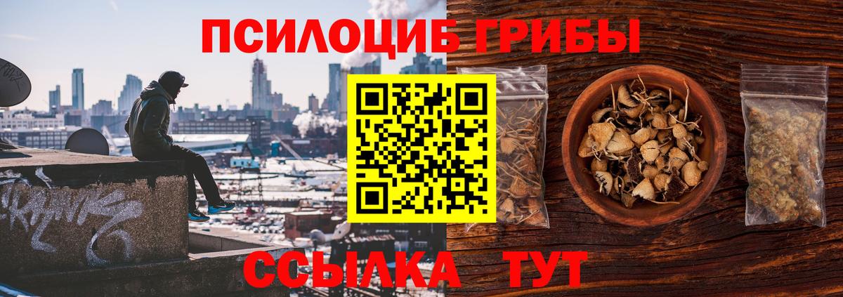 Саратов  Галлюциногенные грибы Cubensis  Вход с VPN 